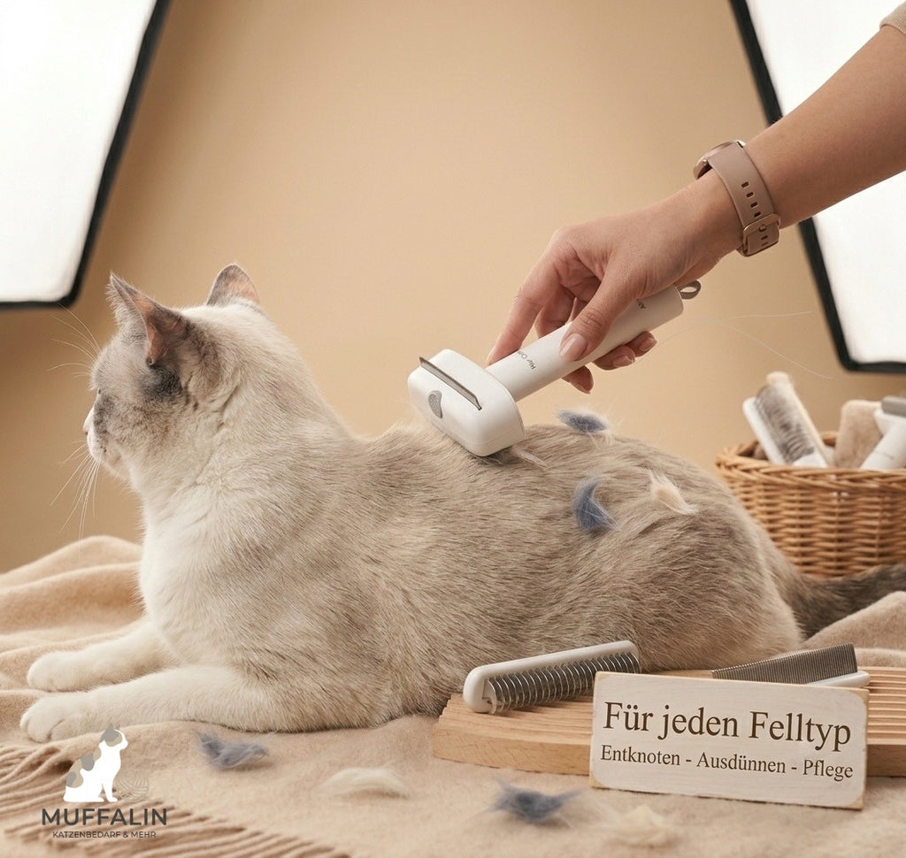3-in-1 Katzen  Bürste aus Edelstahl