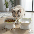 Handbemalter Keramik-Katzennapf mit Katzenohren – Stilvoller Futter- & Wassernapf für Katzen